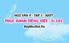 Soạn bài Thực hành Tiếng Việt trang 101 Ngữ văn lớp 9 tập 1 Kết nối tri thức